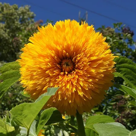 Appartamento Haus Konrad Reith im Alpbachtal