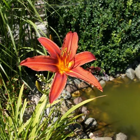 Appartamento Haus Konrad *