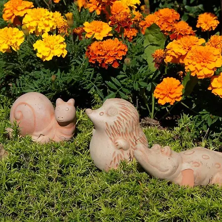 Haus Konrad Reith im Alpbachtal