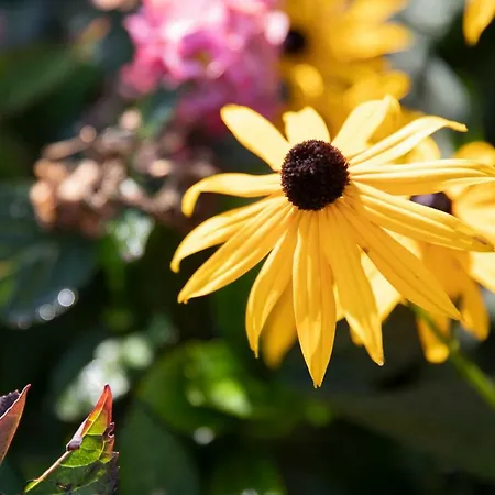 Appartamento Haus Konrad Reith im Alpbachtal