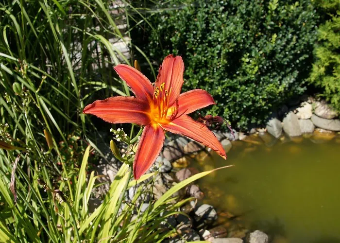 アパート Haus Konrad *