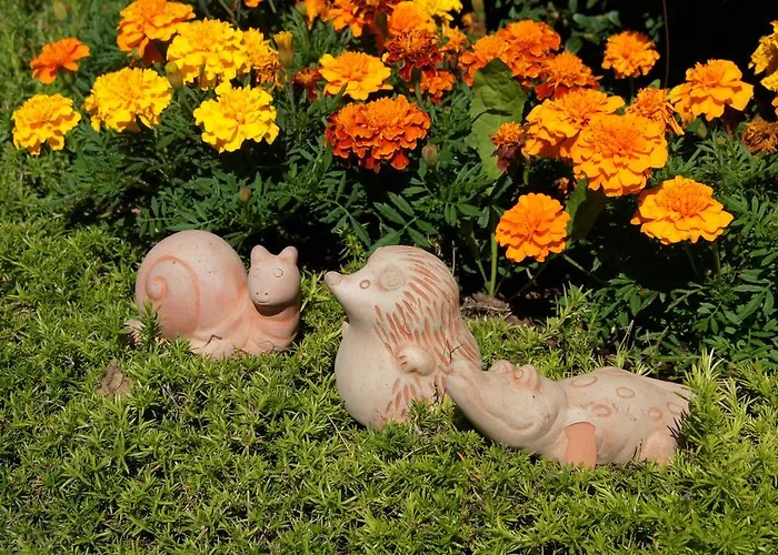 Haus Konrad ライト・イム・アルプバッハタール