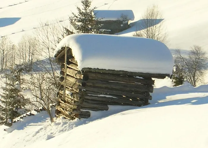 Apartamento Haus Konrad Reith im Alpbachtal